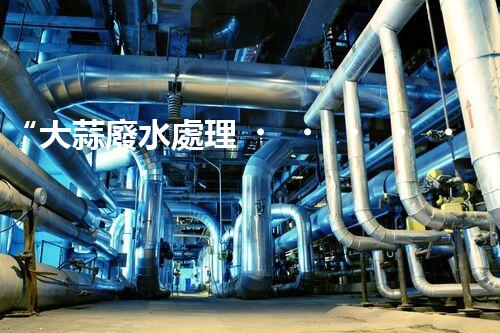 “大蒜廢水處理，綠色環(huán)保新篇章”
